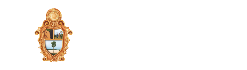 100 Dias de  Movimento